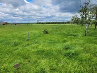 Photo 2: 0 28 E Road in Grunthal: R16 Farm for sale : MLS®# 202307710