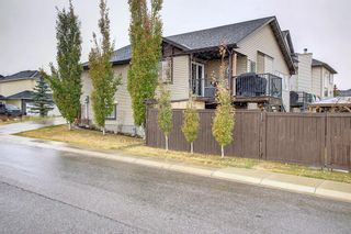 Photo 46: 100 Rainbow Falls Row: Chestermere Detached for sale : MLS®# A2009686