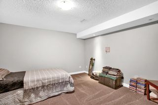 Photo 22: 119 Doverthorn Bay SE in Calgary: Dover Detached for sale : MLS®# A2048254