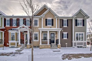 Photo 44: . 209 Cityscape Boulevard in Calgary: Cityscape Row/Townhouse for sale : MLS®# A2118897
