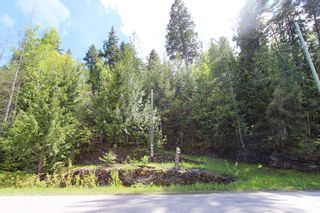 Photo 31: 1706 Blind Bay Road: Blind Bay Vacant Land for sale (South Shuswap)  : MLS®# 10185440