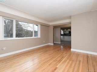 Photo 7: 3590 Shelbourne St in VICTORIA: SE Cedar Hill House for sale (Saanich East)  : MLS®# 805260