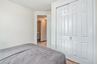 Photo 20: 95 Cityscape Street in Calgary: Cityscape Detached for sale : MLS®# A2053562