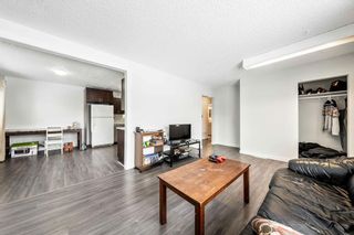 Photo 4: 2436 44 Street SE in Calgary: Forest Lawn Detached for sale : MLS®# A2022356