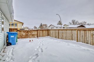 Photo 46: 12 Templevale Gate NE in Calgary: Temple Detached for sale : MLS®# A2023278