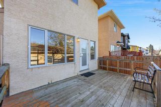 Photo 42: 3523 40 Street SW in Calgary: Glenbrook Detached for sale : MLS®# A2130121