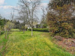Photo 23: 6466 Oldfield Rd in Central Saanich: CS Saanichton House for sale : MLS®# 960828