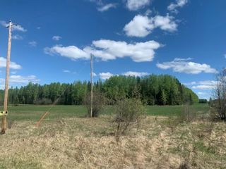 Photo 11: West of Cowboy Trail  #22 in Rural Wetaskiwin No. 10, County of: Rural Wetaskiwin County Residential Land for sale : MLS®# A1230343
