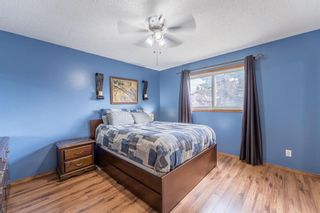 Photo 9: 112 Abbercove Way SE in Calgary: Abbeydale Detached for sale : MLS®# A1214049