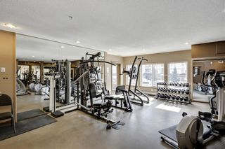 Photo 17: 409 10 Discovery Ridge Close SW in Calgary: Discovery Ridge Apartment for sale : MLS®# A1185037