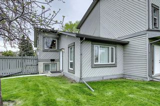 Photo 1: 49 12 Templewood Drive NE in Calgary: Temple Row/Townhouse for sale : MLS®# C4299149