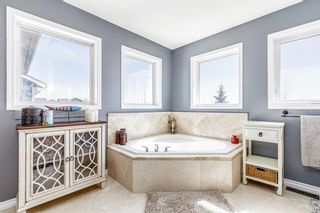Photo 28: 100 Thornfield Close SE: Airdrie Detached for sale : MLS®# A1094943