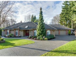 Photo 1: 13059 21A Avenue in Surrey: Elgin Chantrell House for sale in "HUNTINGTON PARK" (South Surrey White Rock)  : MLS®# F1430270