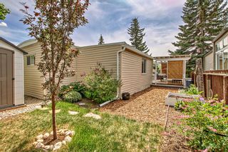 Photo 34: 26 3223 83 Street NW in Calgary: Greenwood/Greenbriar Mobile for sale : MLS®# A2054208