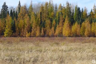 Photo 2: RR214 TWP 624: Rural Thorhild County Vacant Lot/Land for sale : MLS®# E4317144