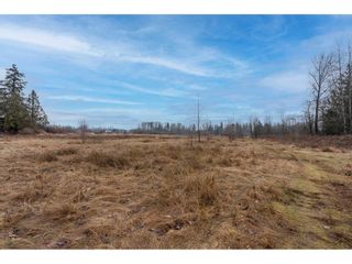 Photo 8: 3250 264 STREET in Langley: Vacant Land for sale : MLS®# C8053916