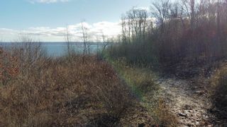 Photo 29: Lot Lighthouse Road in Bay View: Digby County Vacant Land for sale (Annapolis Valley)  : MLS®# 202227031
