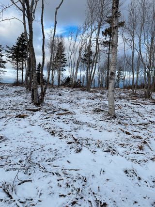 Photo 6: Lot 5 Shore Road in Ponds: 108-Rural Pictou County Vacant Land for sale (Northern Region)  : MLS®# 202227521