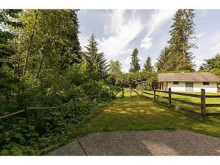 Photo 36: 25990 116TH Avenue in Maple Ridge: Websters Corners House for sale : MLS®# V1097441