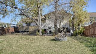 Photo 44: 347 Whiteside Road NE Calgary Home For Sale