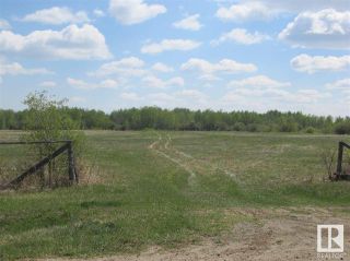 Photo 14: RR 204 HWY 661: Rural Thorhild County Vacant Lot/Land for sale : MLS®# E4369773