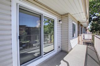 Photo 14: 203 809 4 Street NE in Calgary: Renfrew Apartment for sale : MLS®# A2118564