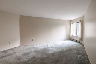 Photo 12: 110 5360 205 STREET in Langley: Langley City Condo for sale : MLS®# R2503336