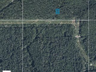 Photo 3: LOT 1 INDIAN RIVER DRIVE in North Vancouver: Indian River Land for sale in "Woodlands" : MLS®# R2856540