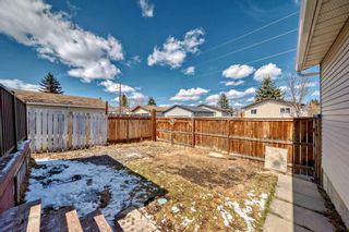 Photo 31: 24 Bedwood Crescent in Calgary: Beddington Heights Detached for sale : MLS®# A2123822