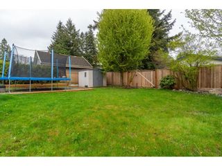 Photo 35: 2617 PARK Drive in Abbotsford: Abbotsford East House for sale : MLS®# R2684394