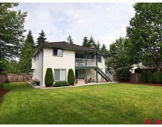 Photo 10: 9074 206TH Street in Langley: Walnut Grove House for sale : MLS®# F2913741