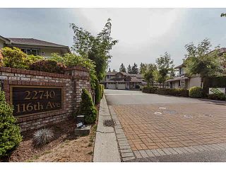 Photo 20: 34 22740 116TH AVENUE in Maple Ridge: East Central Townhouse for sale : MLS®# V1141647