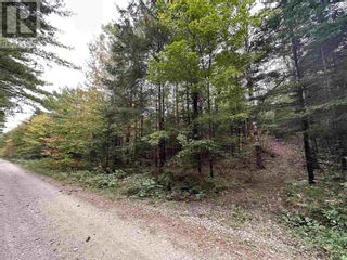 Photo 6: Lot 17 Ridgeview Drive in New Germany: Vacant Land for sale : MLS®# 202321567