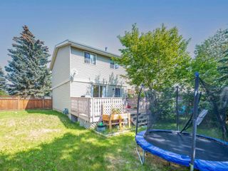 Photo 18: 33 Erin Woods Place SE in Calgary: Erin Woods Detached for sale : MLS®# A2061625