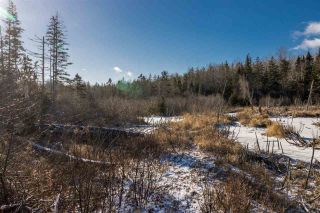 Photo 4: Lot Greenfield Road in Greenfield: 404-Kings County Vacant Land for sale (Annapolis Valley)  : MLS®# 202025611