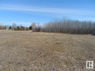 Photo 12: 12 Ivan Road 587104 Hwy 38: Rural Sturgeon County Rural Land/Vacant Lot for sale : MLS®# E4239338