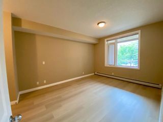 Photo 17: 3214 24 Hemlock Crescent SW in Calgary: Spruce Cliff Apartment for sale : MLS®# A2066556