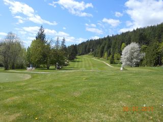 Photo 8: Lot 352 Castle Heights in Anglemont: North Shuswap Land Only for sale (Shuswap) 