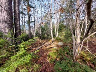 Photo 17: Lot Bowers Road in Lower Ohio: 407-Shelburne County Vacant Land for sale (South Shore)  : MLS®# 202302336