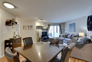 Photo 8: 101 30 Sierra Morena Mews SW in Calgary: Signal Hill Apartment for sale : MLS®# A2078167