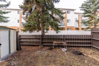 Photo 16: 30 175 Manora Place NE in Calgary: Marlborough Park Row/Townhouse for sale : MLS®# A2116369