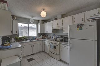 Photo 6: 53 & 55 Dovercliffe Way SE in Calgary: Dover Duplex for sale : MLS®# A1178005