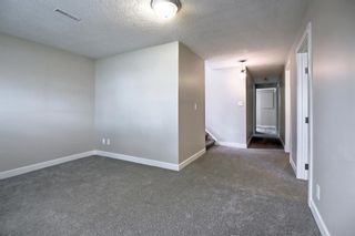 Photo 33: 260 Abadan Place NE in Calgary: Abbeydale Detached for sale : MLS®# A1251427