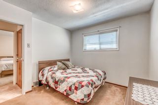 Photo 14: 343 96 Avenue SE in Calgary: Acadia Detached for sale : MLS®# A1240819