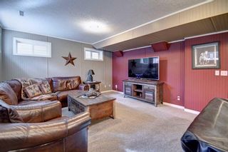 Photo 41: 30 Jensen Heights Place NE: Airdrie Detached for sale : MLS®# A2086529