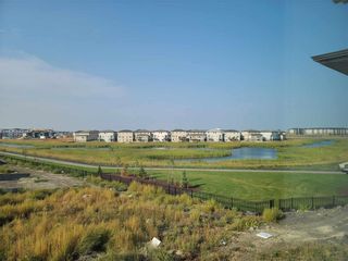 Photo 23: 51 Mulberry Creek Drive in Winnipeg: Prairie Pointe Residential for sale (1R)  : MLS®# 202325582