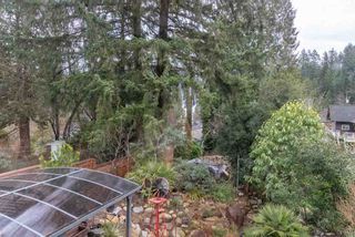 Photo 17: 2006 PANORAMA Drive in North Vancouver: Deep Cove House for sale : MLS®# R2526705