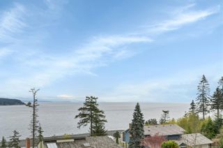 Photo 40: 604 Ash St in Campbell River: CR Campbell River Central House for sale : MLS®# 900418