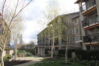Photo 15: 314 21009 56 Avenue in Langley: Salmon River Condo for sale in "Cornerstone" : MLS®# R2048798