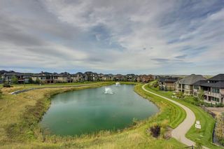 Photo 35: 78 Whispering Springs Way: Heritage Pointe Detached for sale : MLS®# C4265112